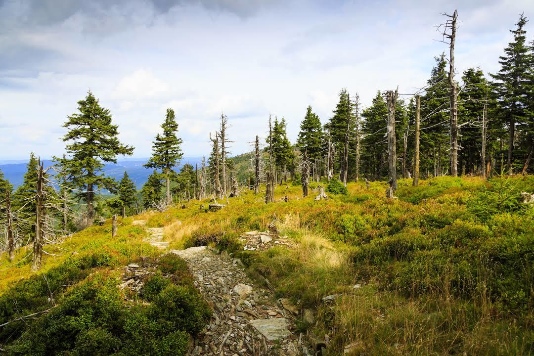 Nationalpark Riesengebirge